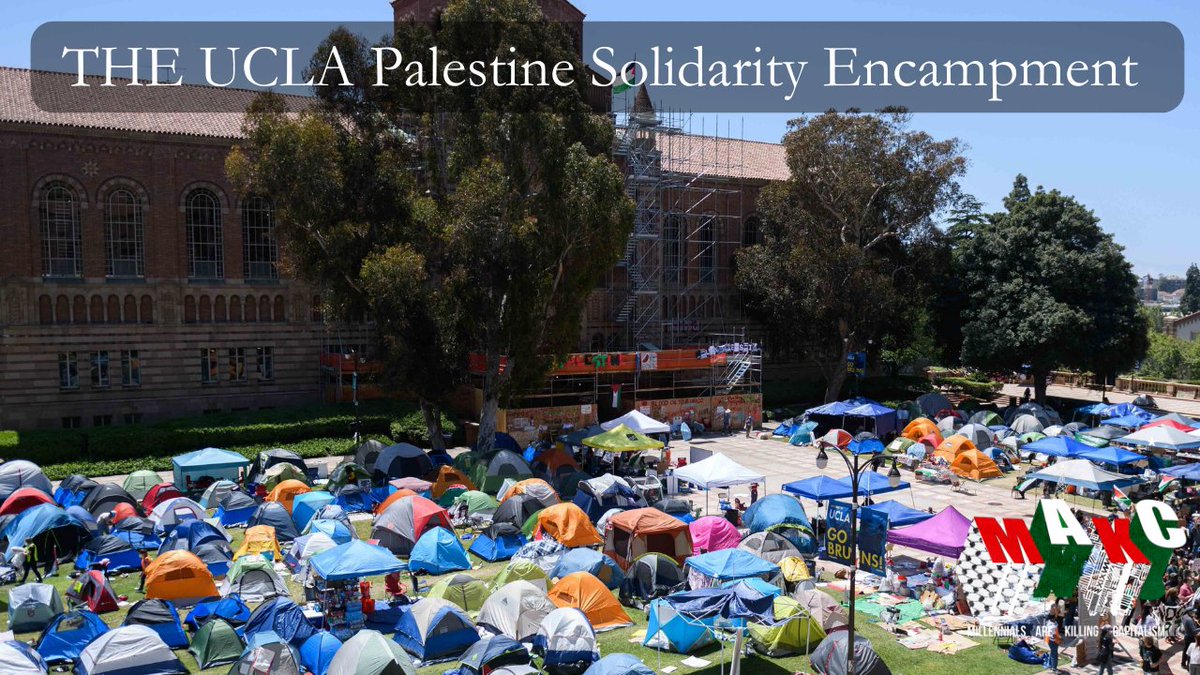 And solidarity to all the folks at UCLA right now facing down administration, pigs, neo-nazis and Zio-fascists. We hope to catch up with folks at the encampment Thursday at 1230 PM ET youtube.com/live/gOG4Qd0YT…