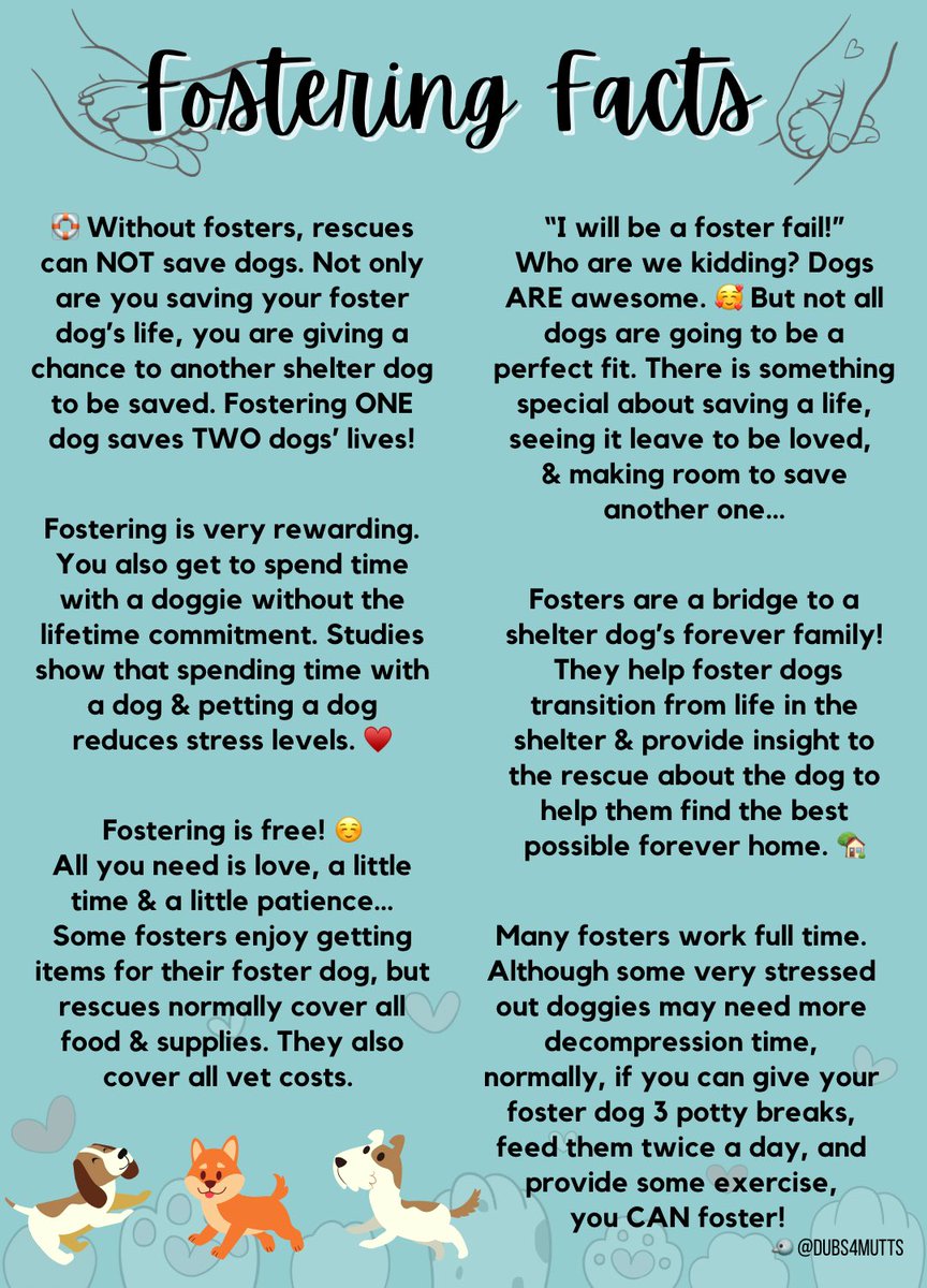 🐶 Chase 🥰 #NYCACC #NewYork
6yo 61lbs goodest boy. Chase’s owner
surrendered him to a FULL shelter Chase is confused, living in fear & is now
#RescueOnly! 💔 Who does this?!
Can you foster Chance? #FostersSavesLives
He can be fostered to adopt! 🙏🏽🏡🛟
nycacc.app/browse/101836