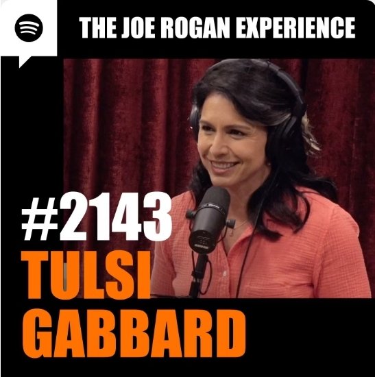 I liked the Joe Rogan interview with Tulsi Gabbard. They made great points about the government being us, the people, and the freedoms we must protect from those who seek to take them away.