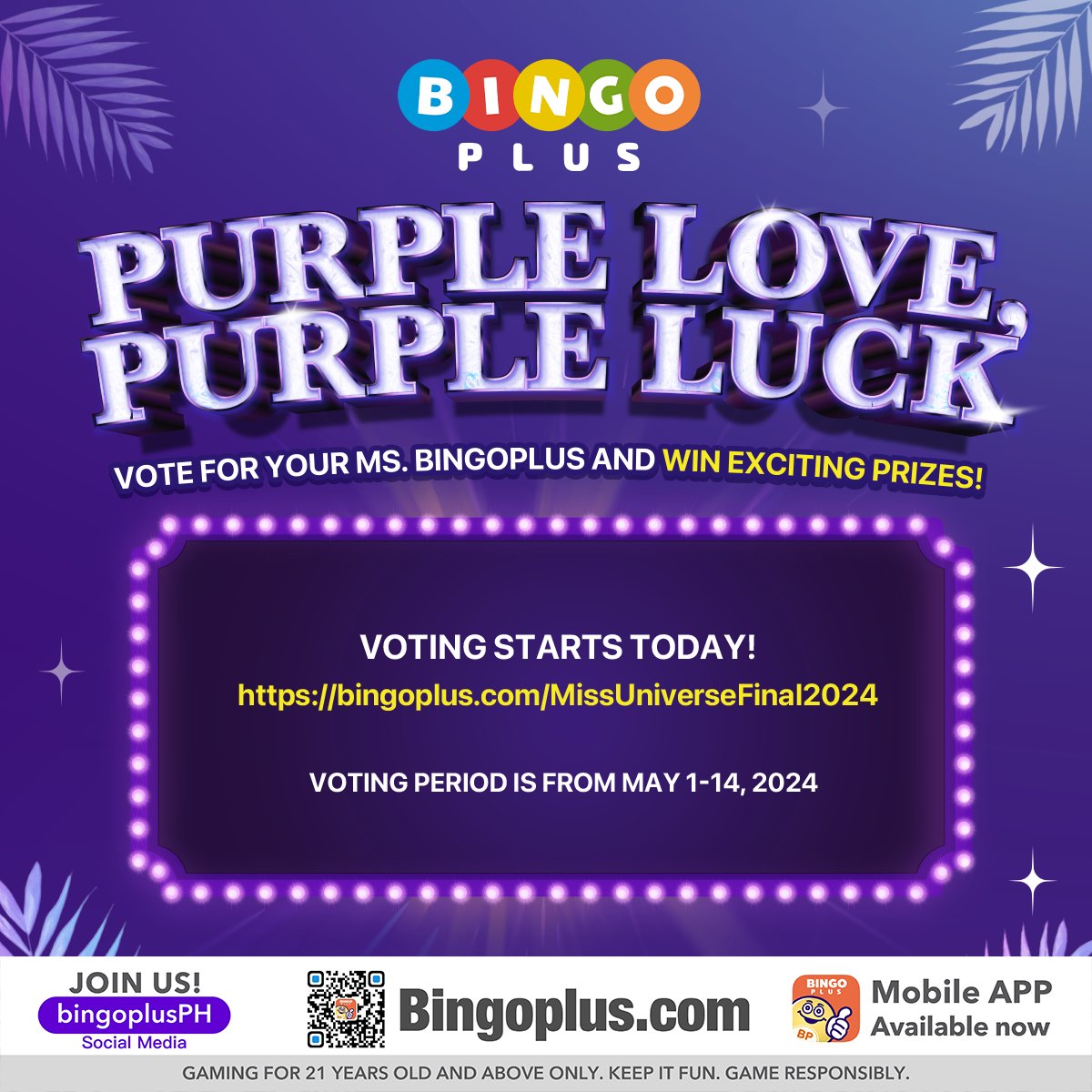 BingoPlus tweet media