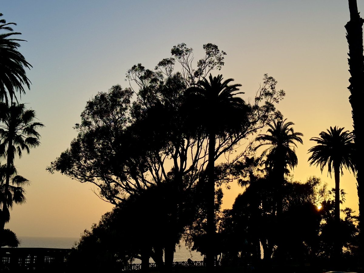 Here comes Thursday! 🌴🎡☀️ #SantaMonica #sunset