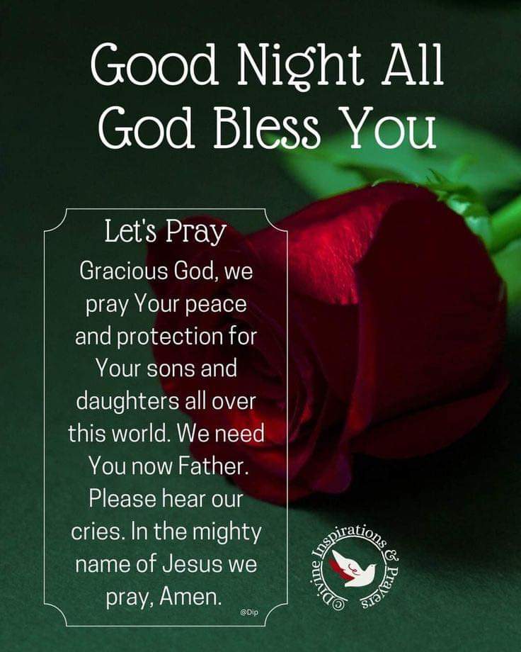 Good night everyone! Sleep well! 💤🥱😴💤 Please keep our military and veterans in your prayers! 🛐🙏🙏