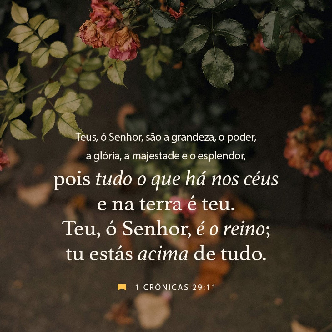 1 Crônicas 29:11 VFL
SENHOR, a majestade e o poder, a glória, o esplendor e a honra lhe pertencem. Porque tudo o que existe no céu e na terra é do Senhor. O SENHOR é o único Soberano e seu é o reino.