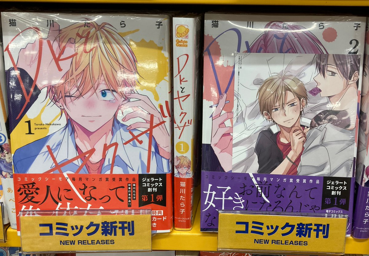 書籍新刊情報】 「#DKとヤクザ 1巻・2巻」が入荷しましたコォ