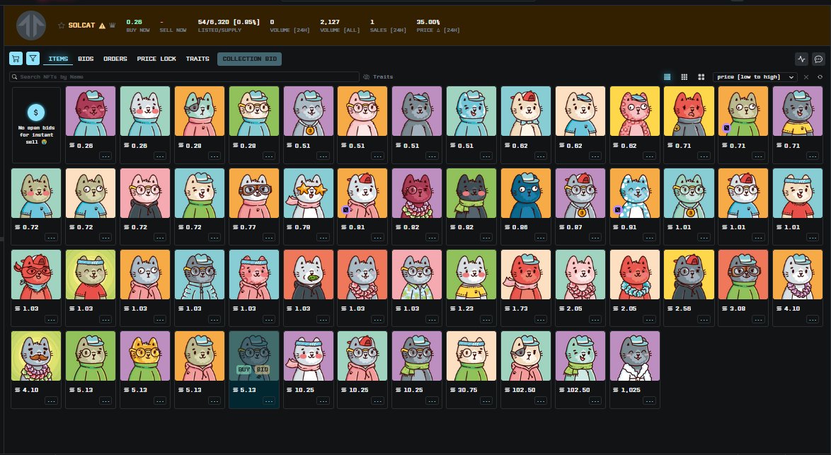 Soltopia🌴 tweet media