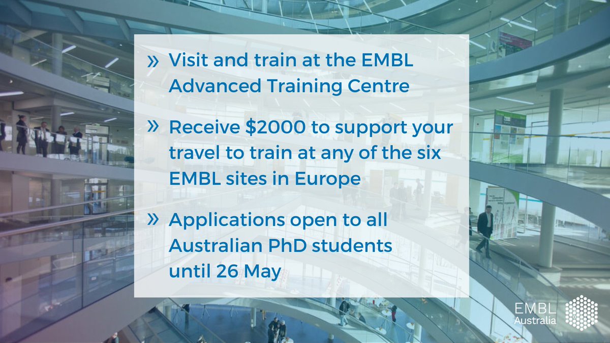 Apply now for our second round of International TRAVEL GRANTS! ✈️Funding can support a training course or conference, hosted by @embl & @EMBLEvents, or a visit for up to six weeks. Apply now: bit.ly/emblausTG