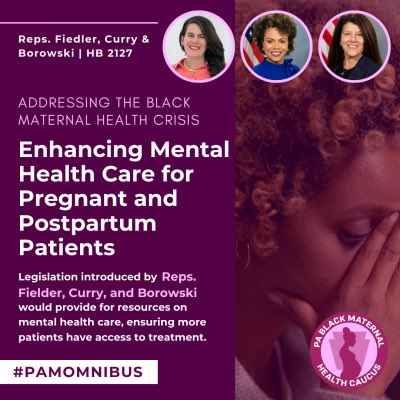 Today is #WorldMaternalMentalHealthDay & May is #MaternalMentalHealth Awareness Month! 🌸

Our Caucus stands with families accessing mental health care throughout pregnancy.

It’s time to pass HB 2127 - another great #PAMOMNIBUS bill by @rep_fiedler @repginacurry & @repborowski.