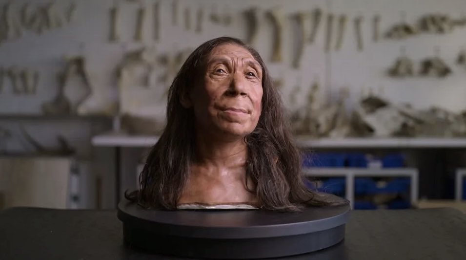 Guess who this is?

A human female Neanderthal from 40,000 years ago that they just recreated. 

I’m starting a brand new grift. 

Her or modern women?

 Forget the stupid bear/man grift. 

This one is way better. 

I’ll take her any day. I’m sure she’s quiet and feminine.
