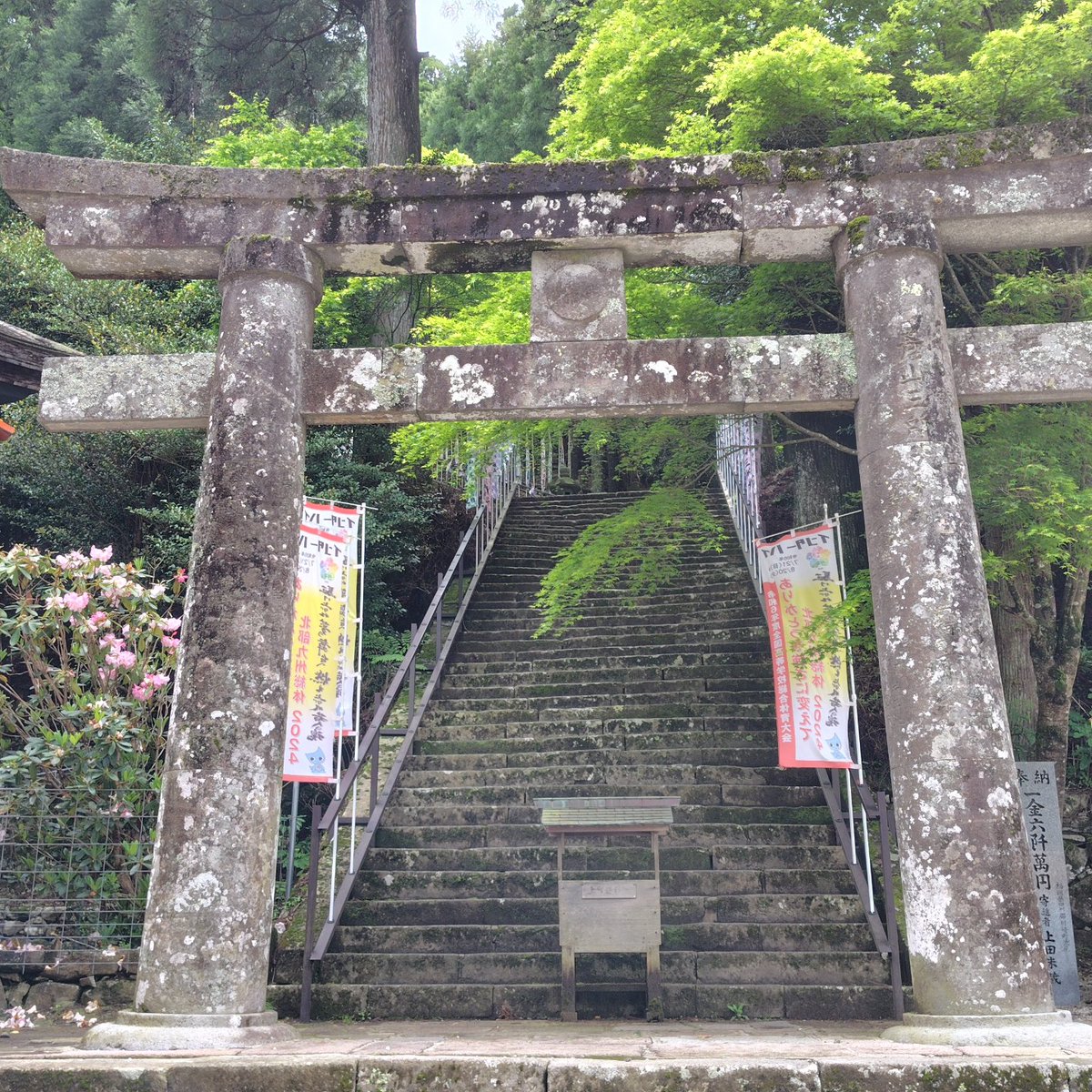 Choppar11's tweet photo. 福岡県田川郡添田町の英彦山神宮⛩️へ。毎年GW恒例です✨🤭
#英彦山神宮　#神社 https://t.co/FRLYrHXLE0