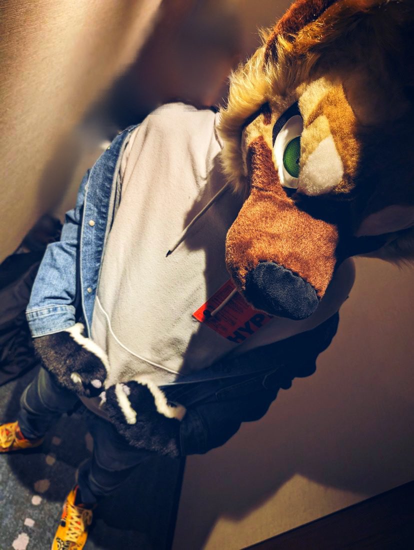 そろそろ本性出してもいいか？🐺

📸@ Lacotot 
#Fursuit
#FursuitEveryday