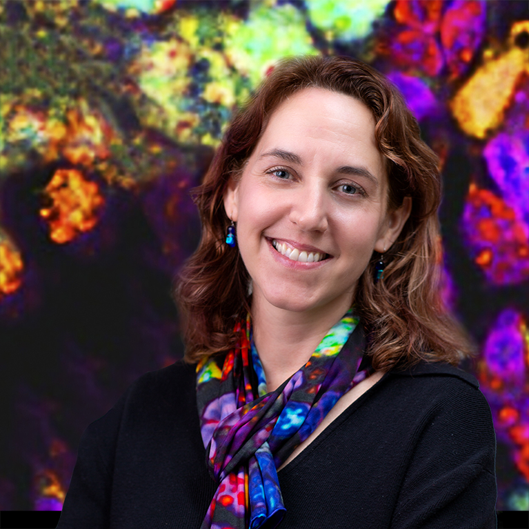🌟 Congratulations to Salk Professor Susan Kaech! She has been elected to the National Academy of Sciences, recognizing her pioneering contributions to immunology and #CancerBiology. Her work is redefining our approach to cancer immunotherapy and expanding our understanding of