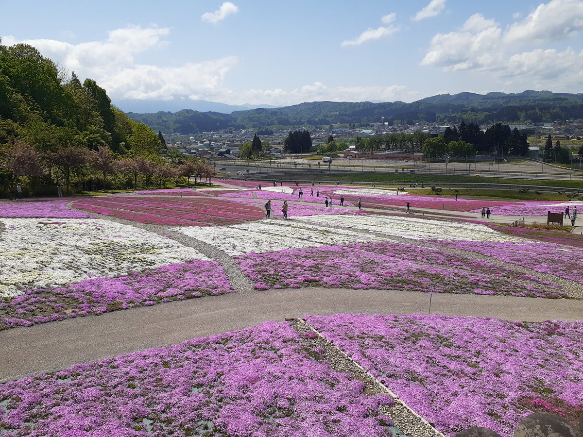 芝桜を見に来ました🌸
のんびり散歩し、こんなゆっくりしたGWも良いもんだな🚶