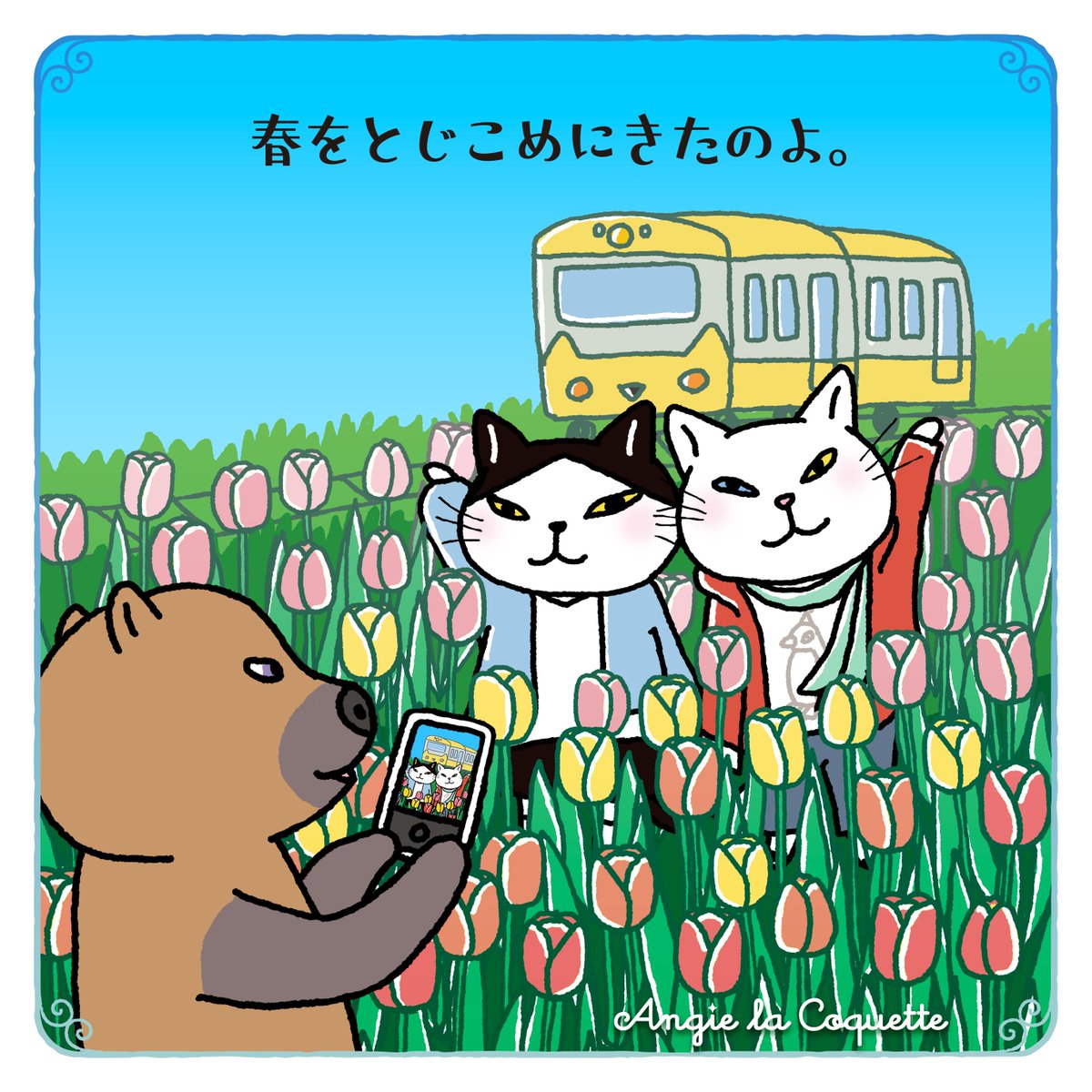 お花畑を走る電車。テオくん、素敵な写真撮れたかな？

#猫 #電車旅