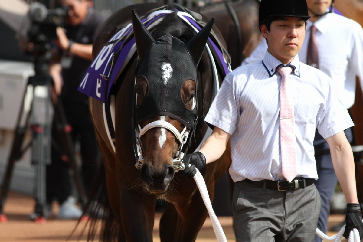 4月28日（日）・京都競馬11レース
天皇賞・春（ＧⅠ）競走中止
ハピ

父・キズナ
母・クイーンパイレーツ
騎手・浜中俊
調教師・大久保龍志（栗東）
馬主・寺田寿男
生産者・ノースヒルズ

右前肢跛行を発症して、1コーナーで競走中止…。大事に至らず安堵しました！