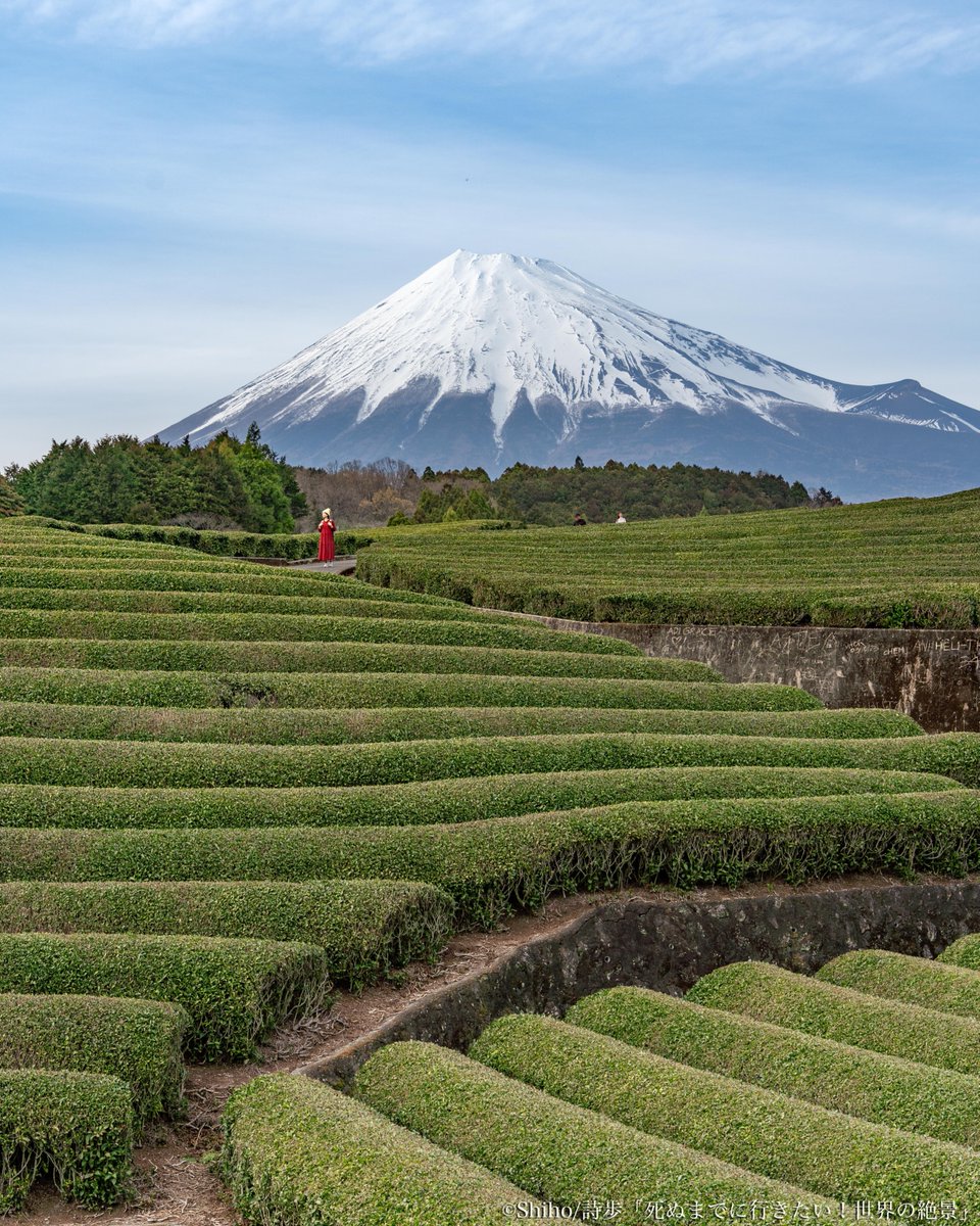 富士山と茶畑が一望できる、大淵笹場🍵 新茶シーズンな今。あす５月３日はお茶まつりも開催されるよ〜！お天気もよさそうだから、富士山がキレイにみれるんじゃないかな🗻☀ #静岡県 #富士市