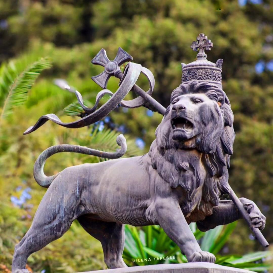 The Lion's unwavering resolve is to conquer. #LIONORDER 👑 #GONGITES 🧬 📸 Hilena Tafesse