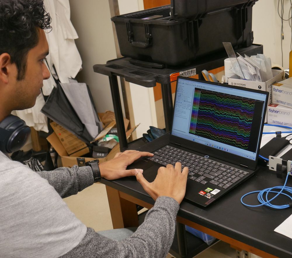 dukenus's tweet photo. Duke University's brain implant might help patients with speech disabilities communicate again. 🧠💬 Learn more here: https://t.co/Ga9lo01BiF
📸: Dan Vahaba, Duke University#DukeNUS #DukeNUSMEDICUS #BrainTech #SpeechDisability #Neurology @dukeu https://t.co/XL3esIrYrD