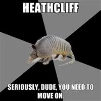 i miss when memes were just this why armadillo