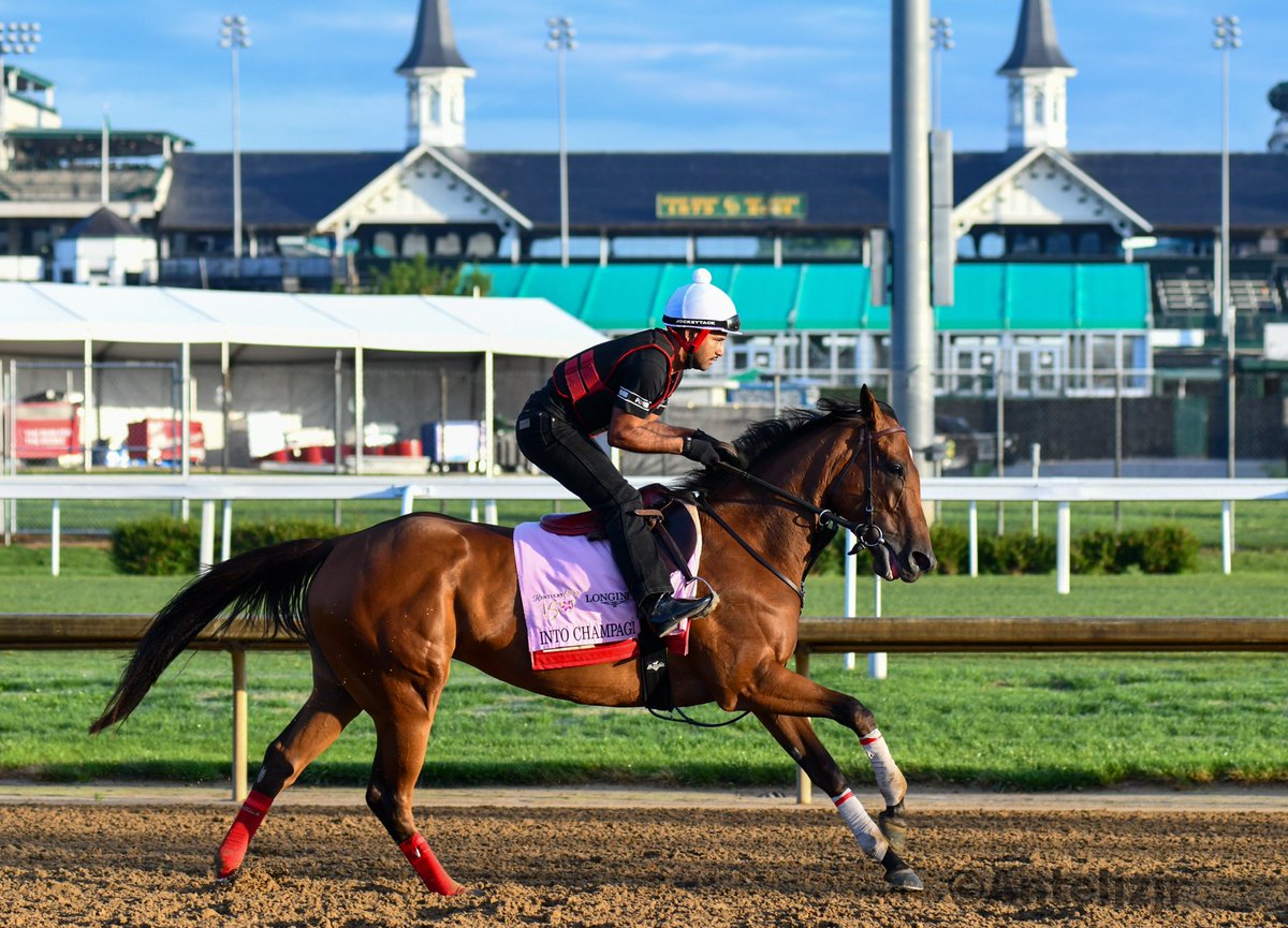 Into Champagne (KY)
TB, B, F, FOALED JANUARY 30, 2021
( INTO MISCHIEF - BEDFORD LAND, BY SPEIGHTSTOWN )