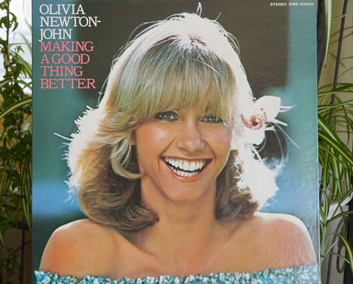 このジャケット、良くないですかー。
とても、好きにりました。。。

Making a Good Thing Better / Olivia Newton-John

世界を幸せにしてくれそうです。。。。そう願います。

LUMIX GX1 & RICOH XR RIKENON 1:2 50mm L

#レコード
#vinylrecords 
#写真好きな人と繋がりたい