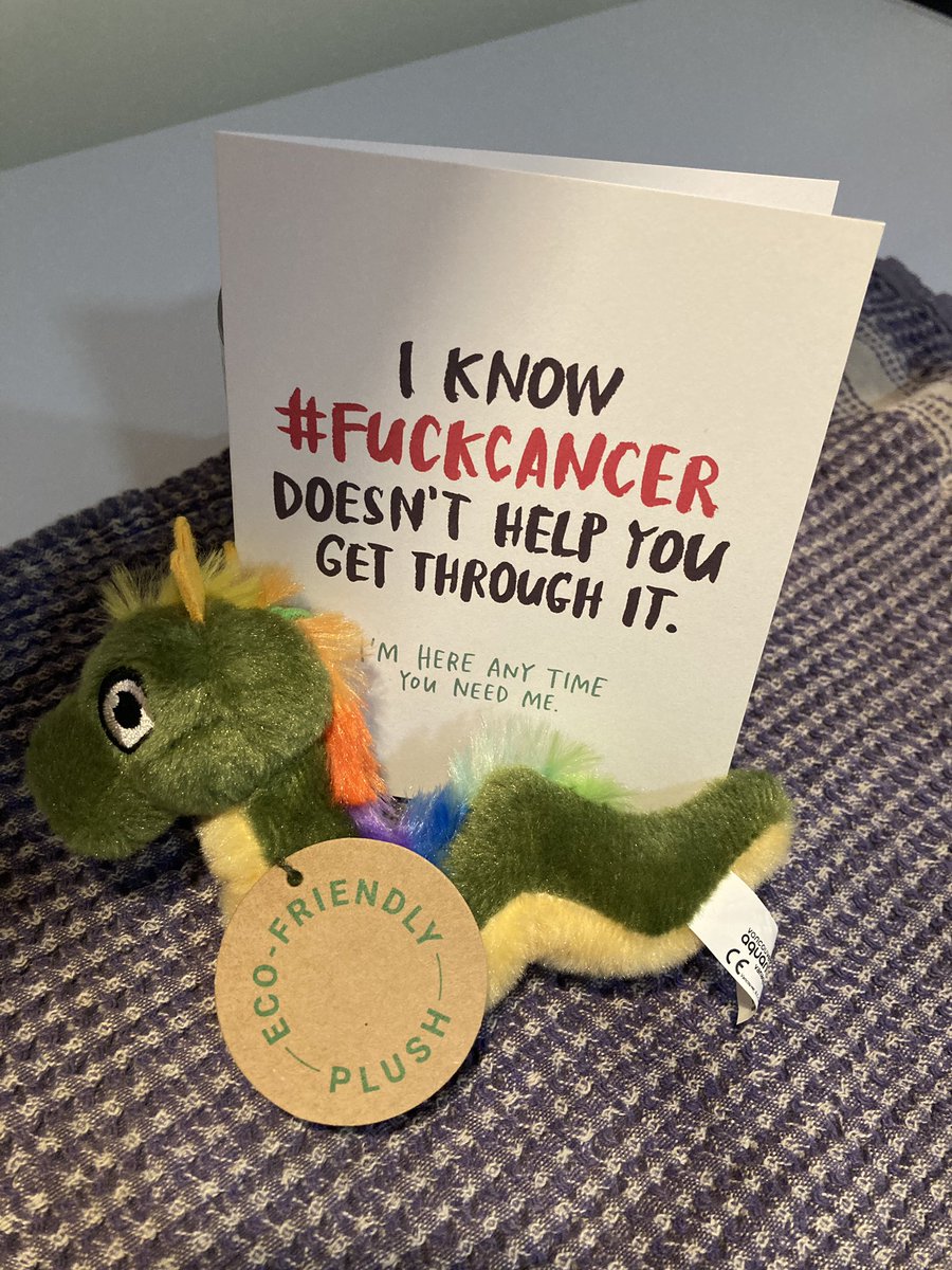 Thank you to my tweeter friend @Terranen for my first #fuckcancer greeting card and an Ogopogo for company. This is community. ❤️