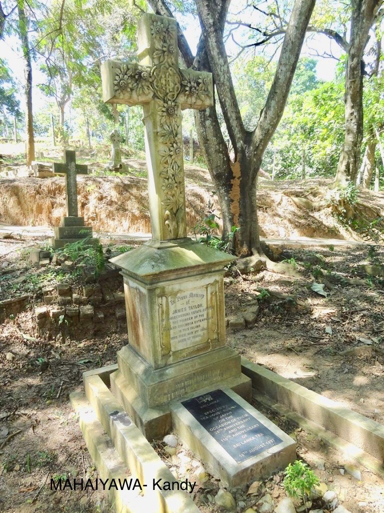 ආයුබෝවන් ! Farther of the Ceylon Tea industry 132nd death anniversary 🕯🕯🕯💐