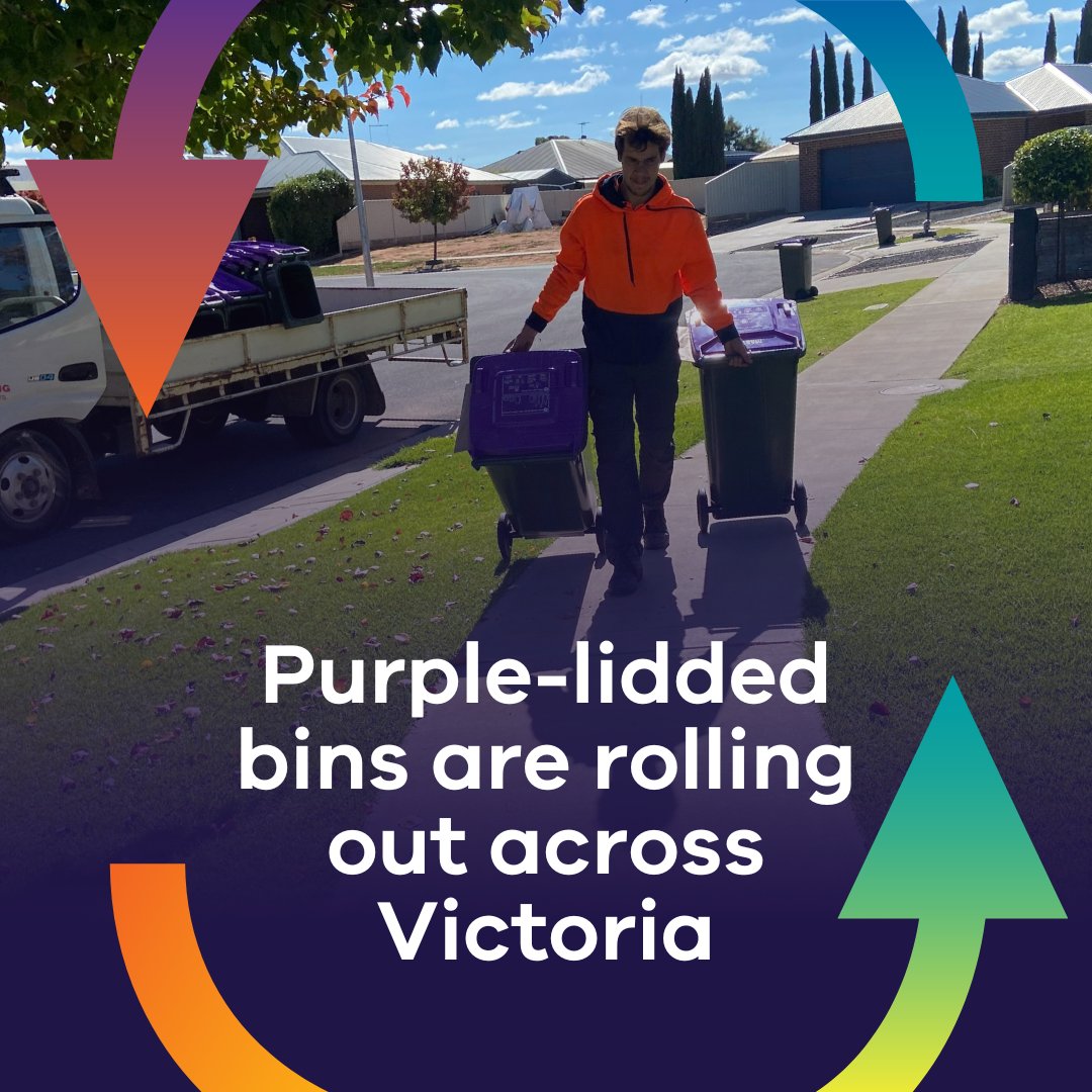 👀 More purple-lidded bins for glass recycling are rolling out across Victoria! 🟣🗑️The latest councils to introduce a new household glass recycling system are @GreaterShepp, @MilduraCouncil , and @CorangamiteCMA . All Victorians will have access to a separate glass service by