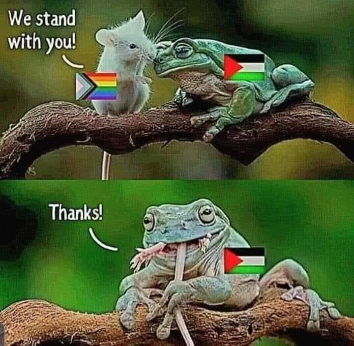They literally have no clue

#PalestineGenocide 
#Palestine 
#Israel 
#IsraelPalestineWar 
#IsraeliranWar 
#IsraelPalestineWar 
#israel