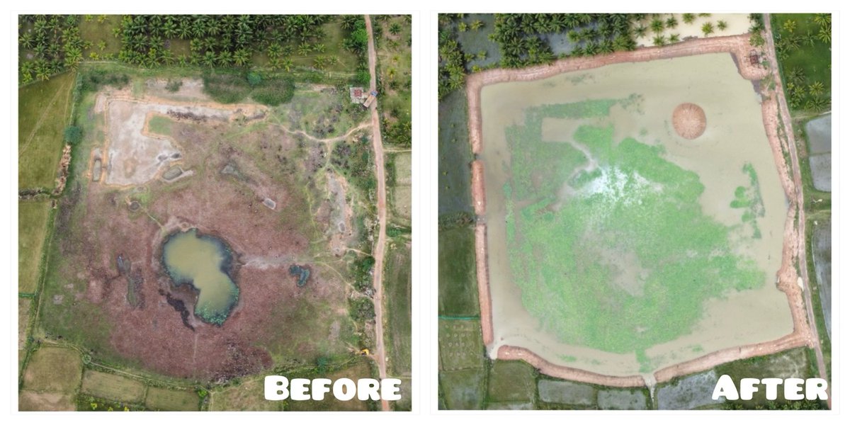 #BounceBackDelta #Cauvery #India

This is one amongst the 189 waterbodies that we have so far restored.

Before and After rejuvenation pictures of Thamarai kulam Which had not been rehabilitated for many years.

Location:  Marungappallam Panchayat, Peravurani Taluk, Thanjavur…