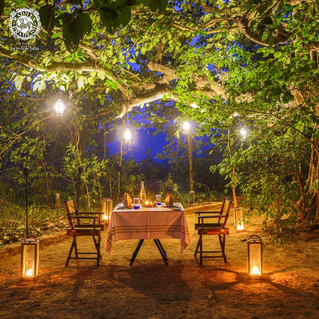Experience the thrill of glamping in style at The Untamed Bandhavgarh!
Just 3.5 km from Tala Gate, immerse yourself in luxury colonial-themed tents amidst the wild beauty of Bandhavgarh National Park.
For details, visit mptourism.com/best-jungle-gl…
#Glamping #Bandhavgarh #mptourism