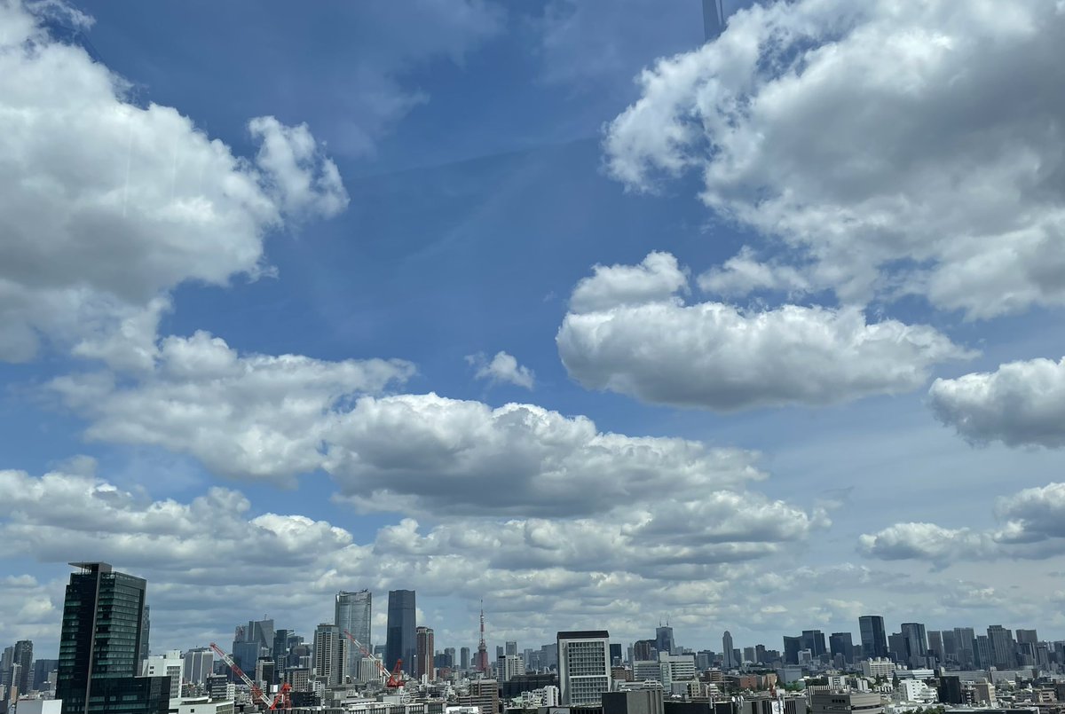 久しぶりに晴れて気持ち良い青空☀️ 風は涼やかで心も爽やか✨🌿 穏やかな一日でありますように🥰