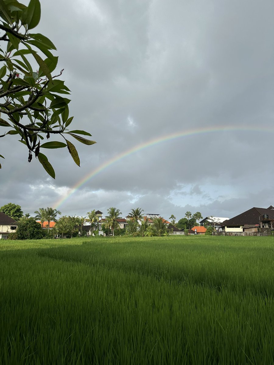 Emma UGC tweet media