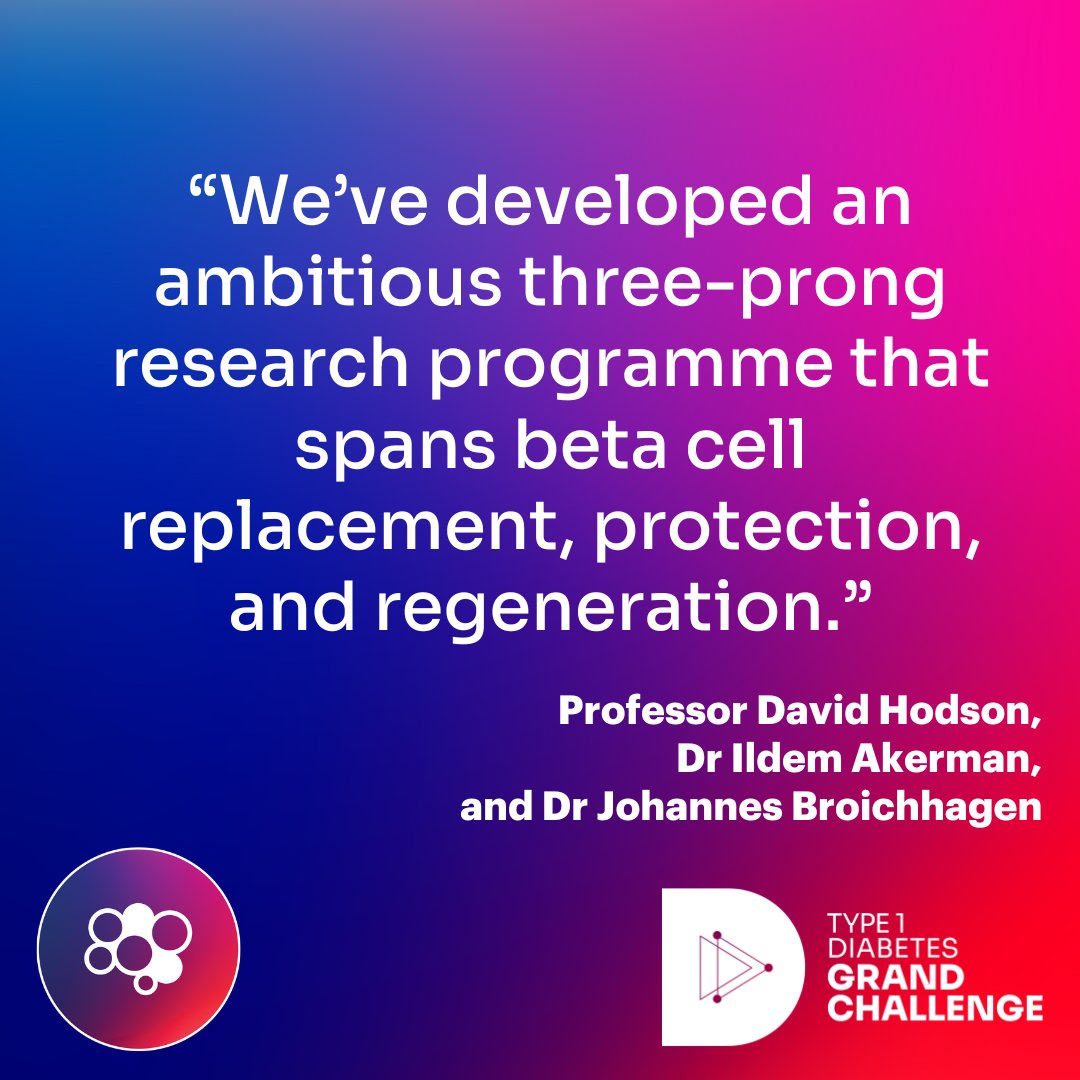 It’s time for the last new #Type1DiabetesGrandChallenge #research project spotlight! 🌟

Prof @daveyboyhod, Dr @IldemAkerman & Dr @BroichhagenJ are pioneering new approaches to replace, protect and regenerate insulin-making beta cells in the pancreas.

👉 type1diabetesgrandchallenge.org.uk/funded-project…