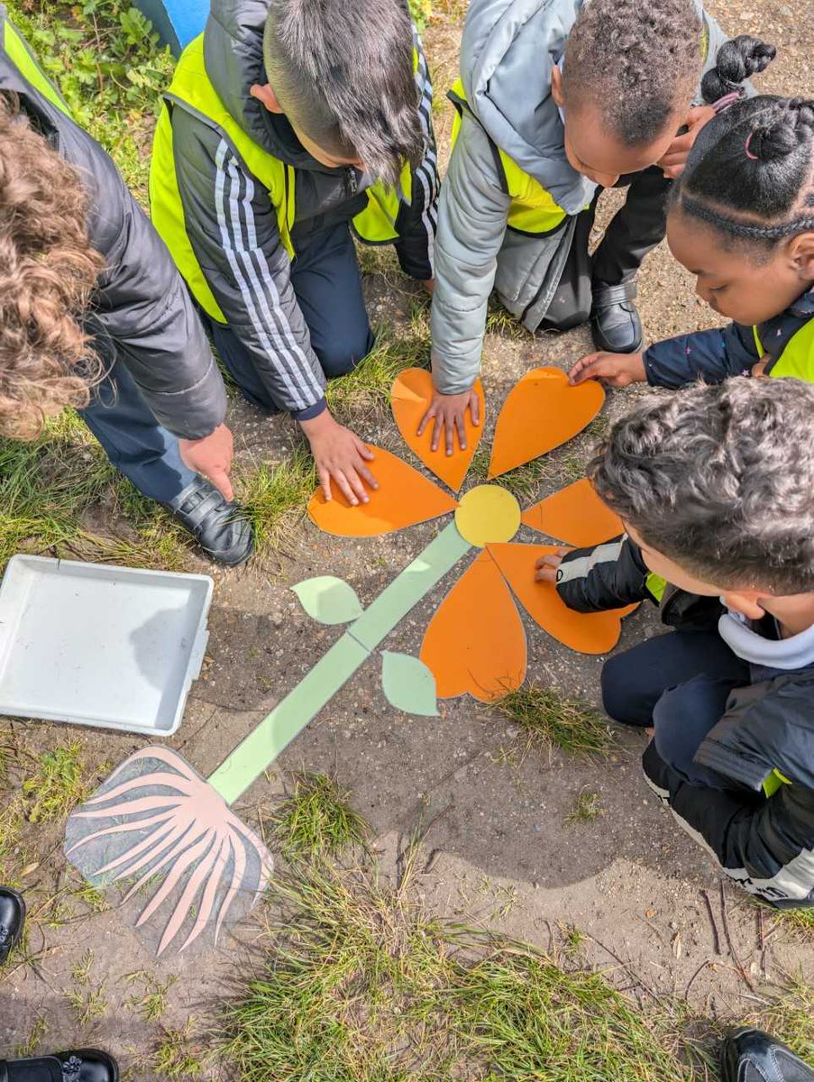 Year 3 recently visited the Centre for Wildlife Gardening where children explored and learned about different plants and wildlife through observation and collection. They had an amazing time, and it was a unique experience for many of the children.