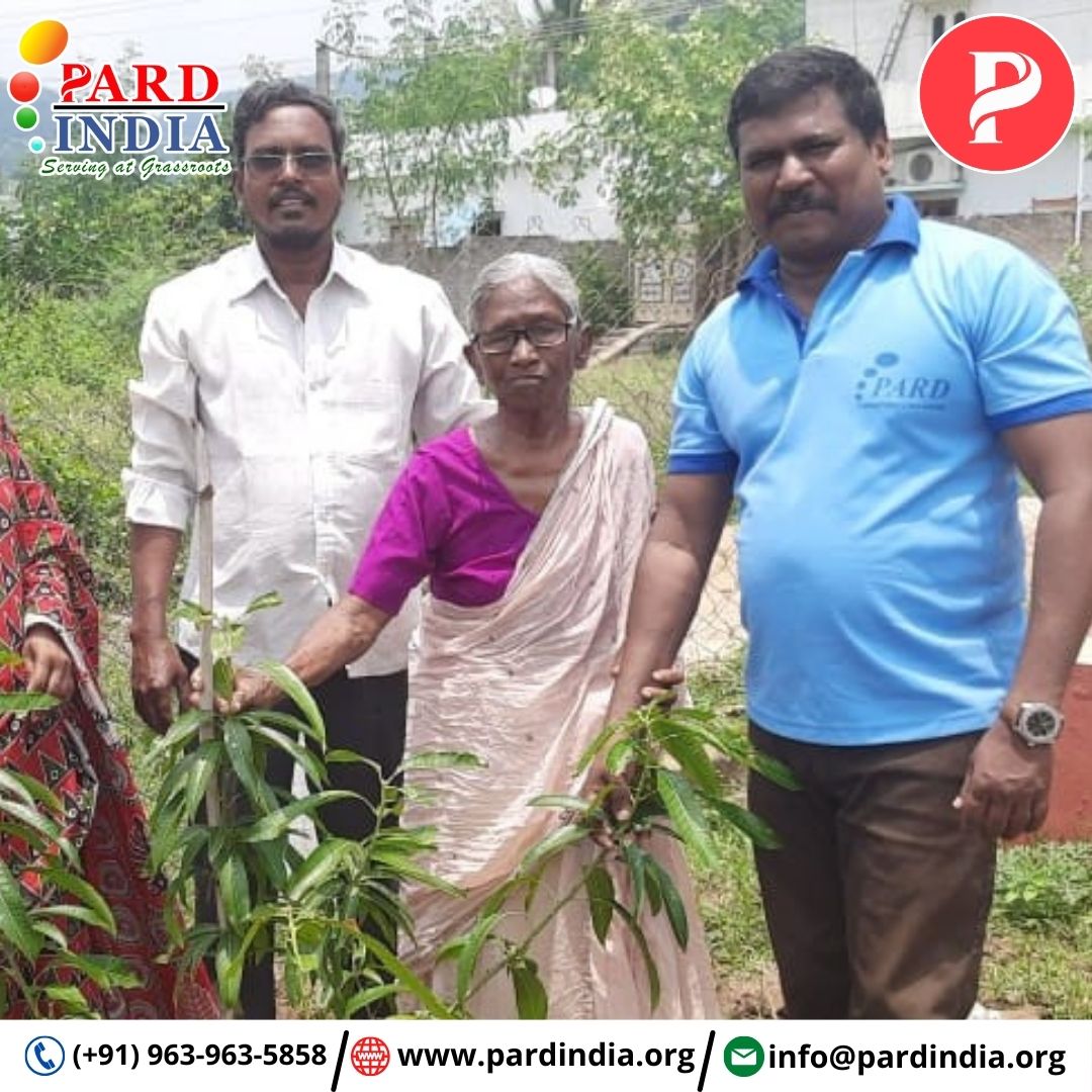 In our journey towards a cleaner and greener tomorrow, every sapling planted is a step forward. 🌳 PARD INDIA through its 'Community Swachh Bharat Program', aims at empowering communities to take a stand for the environment.

#SaveTheEnvironment #ActNow