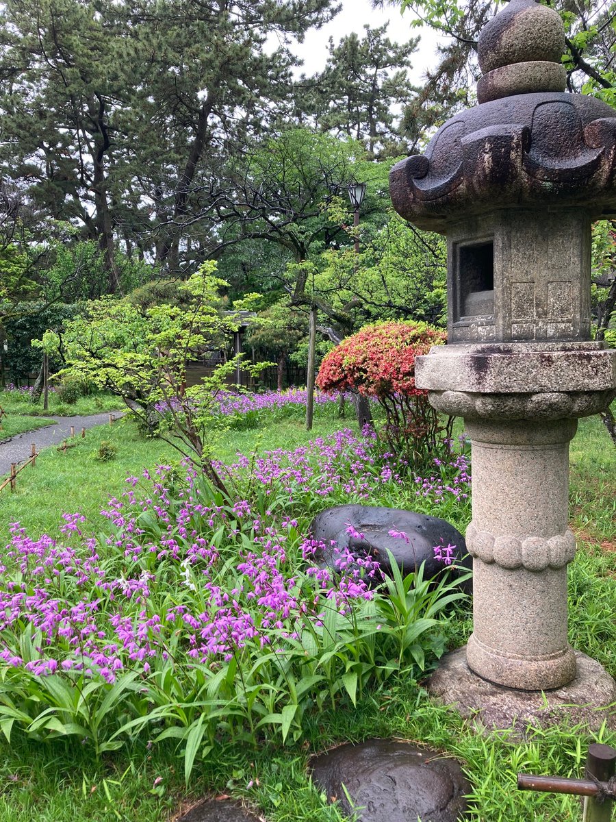 昨日は茅ヶ崎の高砂緑地へ行ってきました。庭園は狭いながらもいい感じで、想像より良かったです。これで雨でなければ、なおよかったのですが。