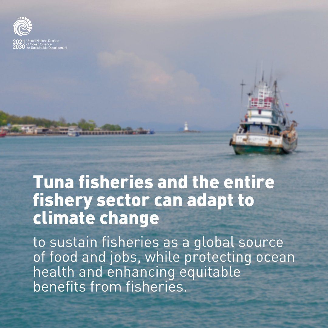 Tuna, a source of food and jobs for people around the world, is impacted by climate change.

To address this, ocean experts at @GMRI are working as part of the #OceanDecade to sustain fisheries in a fair way while protecting ocean health: ow.ly/5qI150RtmM1

#WorldTunaDay