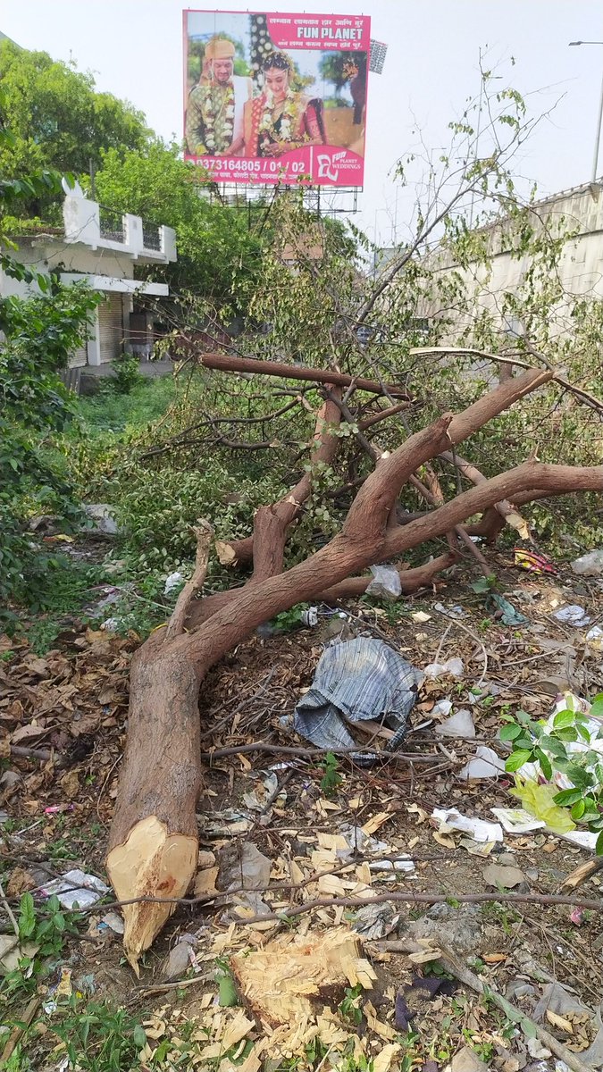 Dear @ngpnmc 
Sanitary workers are burning dry leaves/waste in morning hours in Mankapur. Miscreants are wantonly chopping trees along pavement. Roadside hawkers too are putting leftover on fire every evening. Air remains polluted morning/evening. Do something. #smartcity