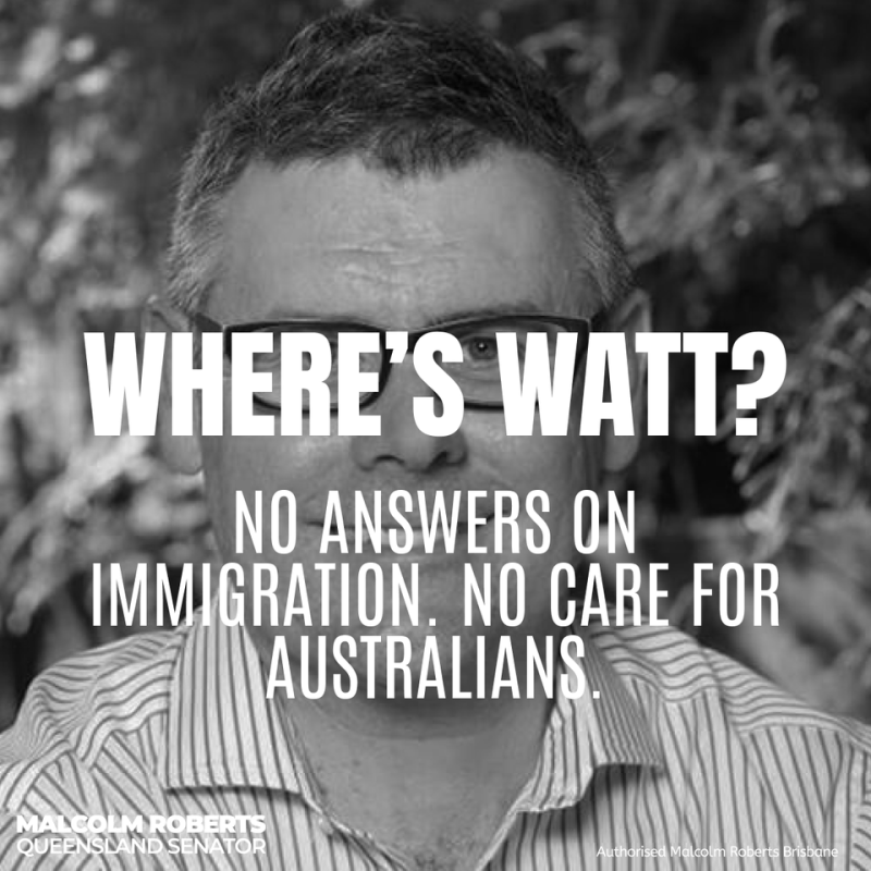 No real solutions are coming from Labor. What will it take to address the housing crisis? Only One Nation will deliver the solutions Australia needs. #BigImmigration #AustraliansFirst #VoteOneNation