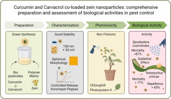 Read #OpenAccess in #PlantNanoBiology: Curcumin and carvacrol co-Loaded zein nanoparticles: comprehensive preparation and assessment of biological activities in pest control
spkl.io/6019425kZ