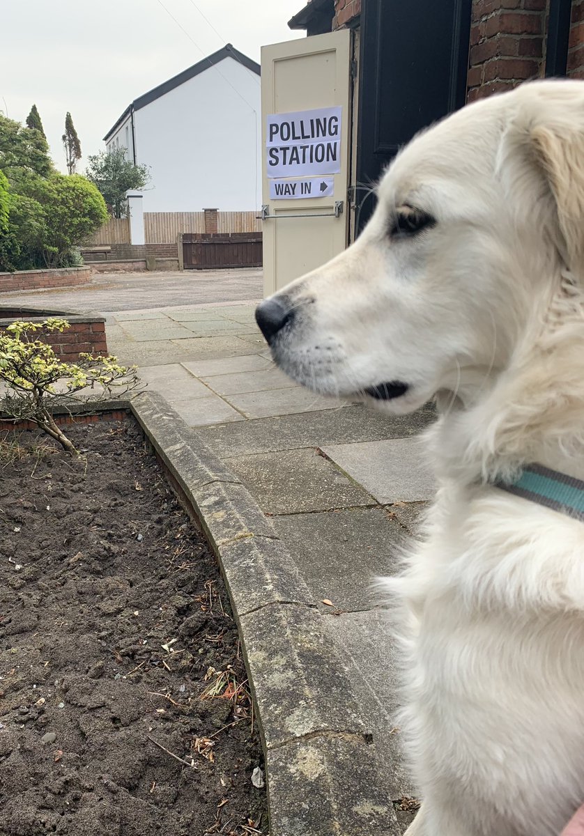 When your dog collar tag isn’t considered to be acceptable ID.  #dogsatpollingstations