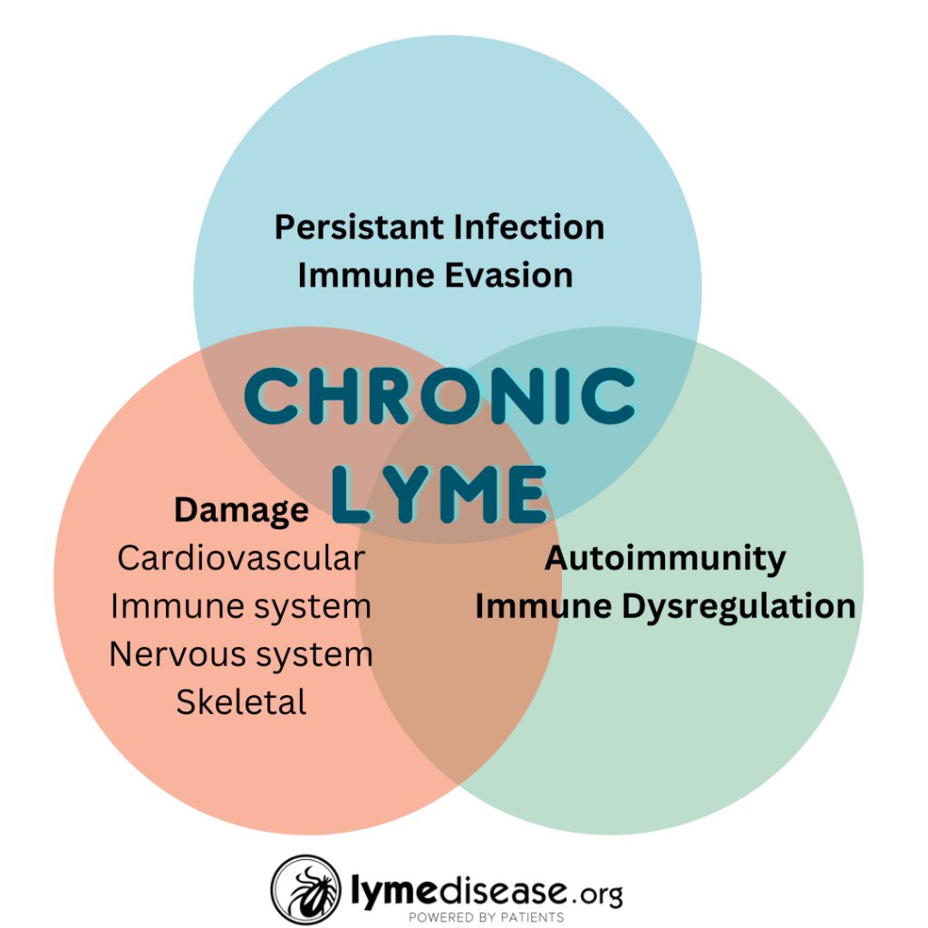 #LymeDiseaseAwarenessMonth ##TickBorneDiseasesAwarenessMonth #PersistentInfection #ChronicLyme #LongLyme