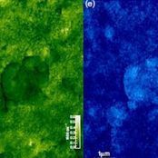 #chimie ⚗️ #ResultatScientifique 📕 🔎 l Les échantillons prélevés sur l’ #astéroïde Ryugu suggèrent que leur formation ait pu avoir lieu à l’extérieur du système solaire 🤝 @LCPlab @CNRSIdFSud @UnivParisSaclay @CNRSphysique @ISMOlab_Orsay @IMPMC_Lab ➡️ inc.cnrs.fr/fr/cnrsinfo/la…