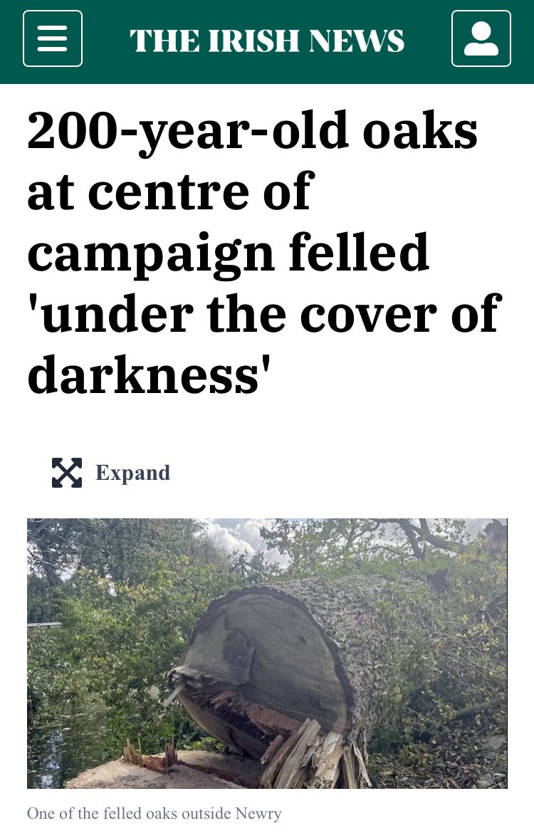 In 2022, @JohnODowdSF sanctioned the felling of healthy mature oak trees at Greenbank Industrial Estate in Newry. He then evaded @JustinMcNu1ty’s questions about this decision in the NI Assembly. Now O’Dowd is back in office, it’s time for him to give some much needed answers.