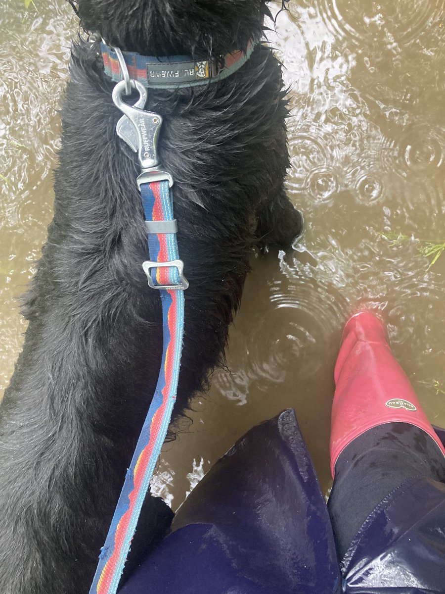 It’s good to be well equipped for the rain, even in la belle France 🇫🇷! Thank you to ⁦@RuffwearUK⁩ ⁦@ruffwear⁩ for their incredibly well designed and sturdy gear and ⁦@LeChameau1927⁩ for such great and très chic wellies 😊
#lechameau 
#ruffwear
#rain
#staysafe