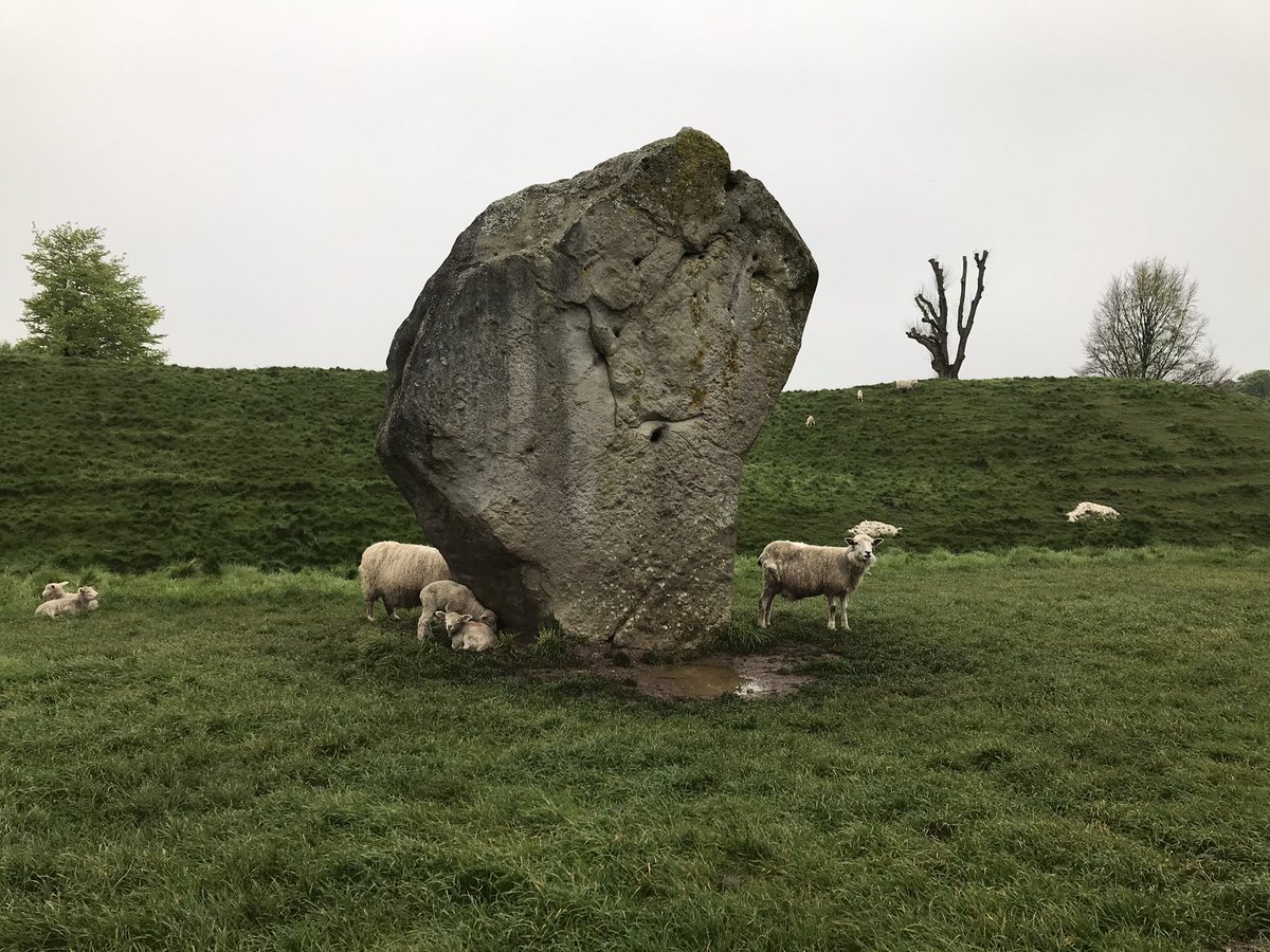 I see the Avebury stones have lambed.