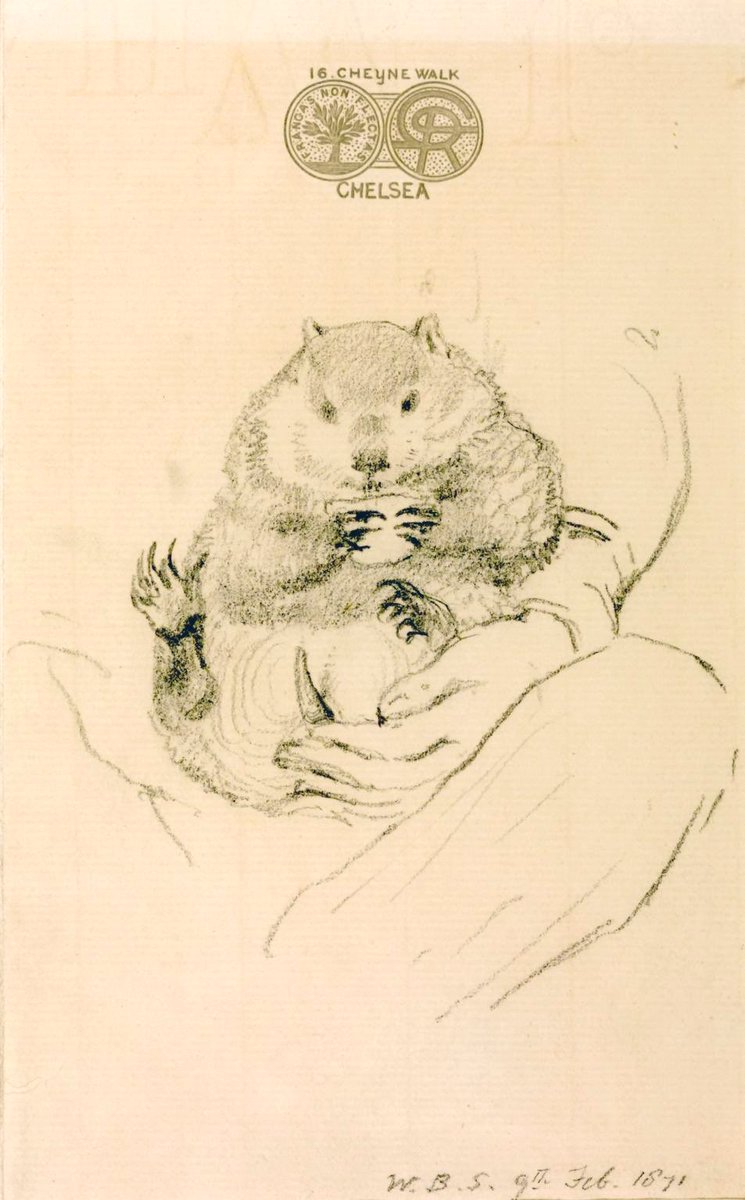 Rossetti’s Wombat Seated in his Master’s Lap, William Bell Scott, 1871.
