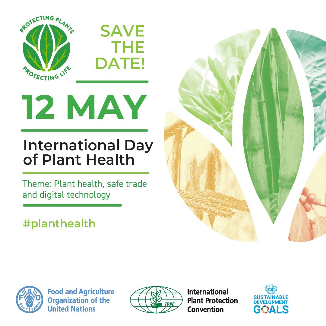 📌Counting down to the International Day of Plant Health #IDPH. ✍️Register here for the technical session fao.zoom.us/webinar/regist…