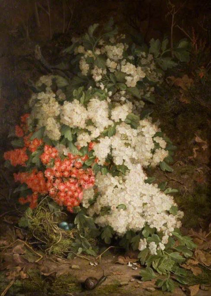 Fragrant Hawthorn, 1885 - John Fitz Marshall