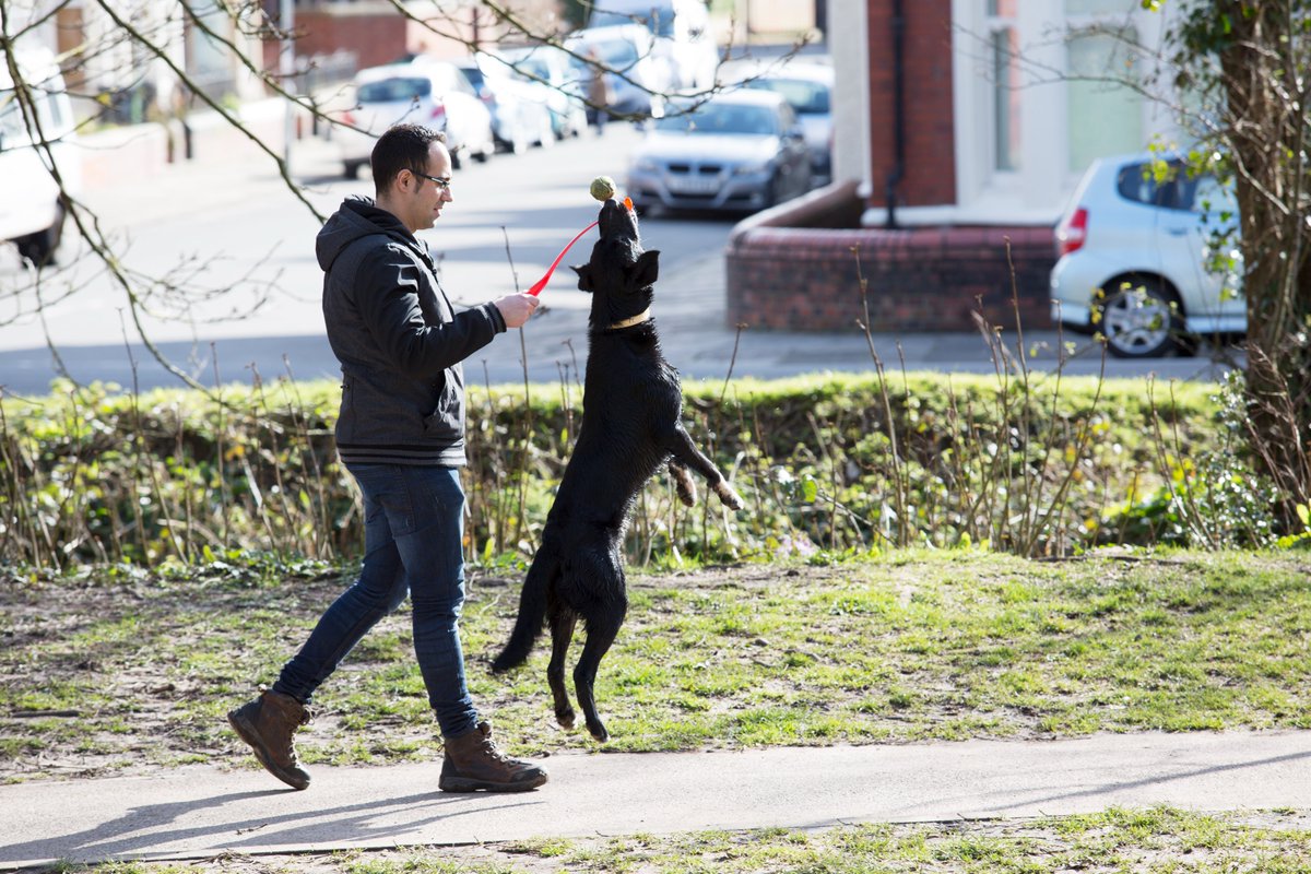 🗳️ Heading out to vote today? A #WalkToThePolls is a great way to exercise democracy! We're here for all your #DogsAtPollingStations photos if you're walking a furry friend there, too! 🐕‍🦺 Find out more about #NationalWalkingMonth & the #MagicOfWalking livingstreets.org.uk/nwm